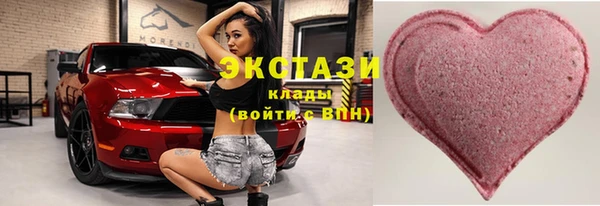 гашик Козловка