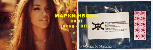 гашик Козловка