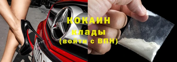 твердый Козельск