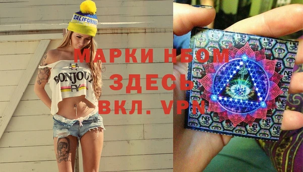 твердый Козельск