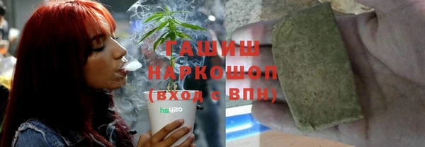 гашик Козловка