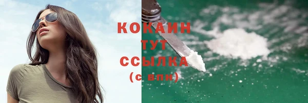 гашик Козловка