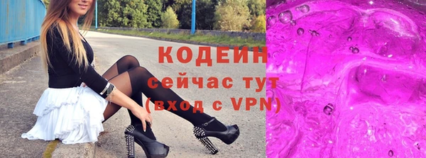 твердый Козельск