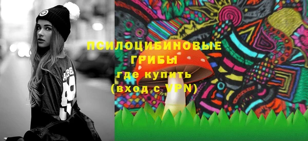 ешки Корсаков