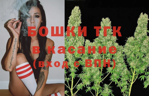 твердый Козельск