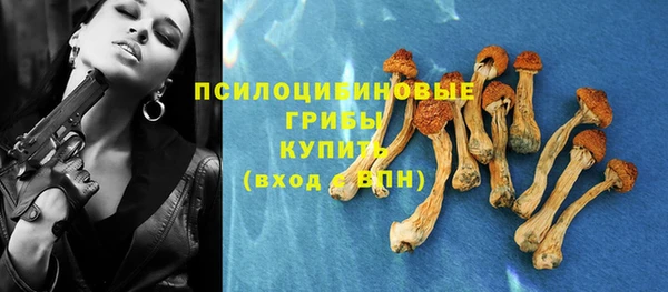 PSILOCYBIN Пролетарск