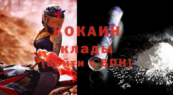 гашик Козловка