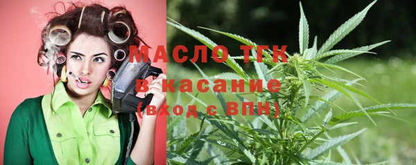 гашик Козловка