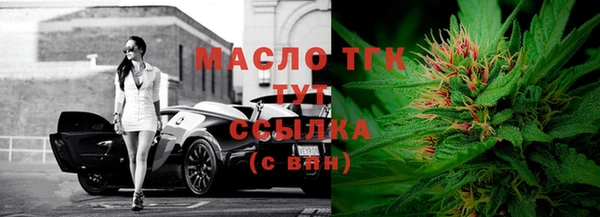 гашик Козловка