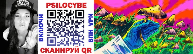 Галлюциногенные грибы Psilocybine cubensis  магазин продажи наркотиков  Кремёнки 