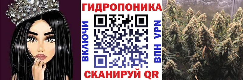 Марихуана THC 21%  Кремёнки 